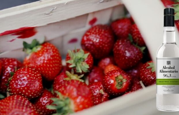 Licor de fresas casero