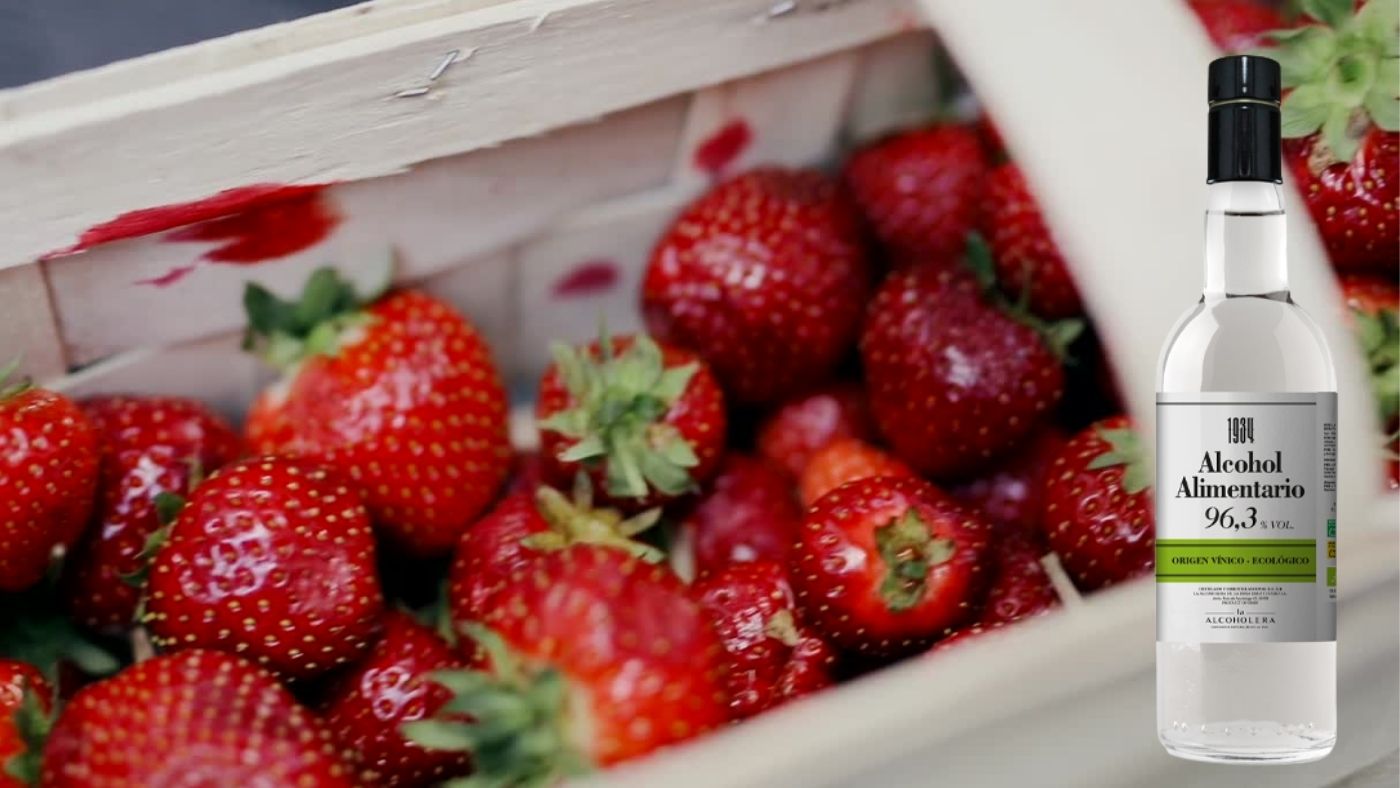 Licor de fresas casero